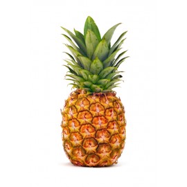 PIÑA MADURADA EN ARBOL