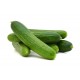 PEPINO DEL TERRENO