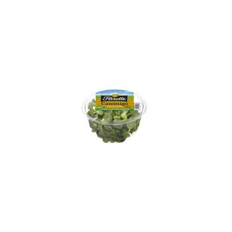 CANONIGO FLORETTE