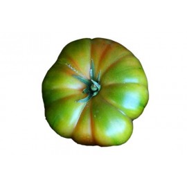 TOMATE PATA ROJO
