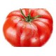 TOMATE RAF