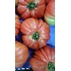 TOMATE ROSA