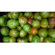 TOMATE DEL PERELLO