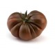 TOMATE RAF NEGRO