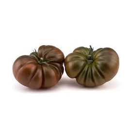 TOMATE BUCANERO