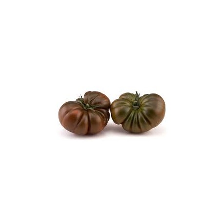 TOMATE RAF NEGRO