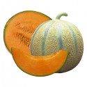 MELON EL ABUELO