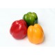 PIMIENTOS TRICOLOR