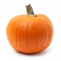CALABAZA DECORACIÓN
