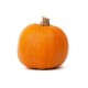 CALABAZA HALLOWEEN