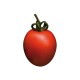 TOMATE PERA KILO