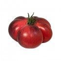 TOMATE AZUL