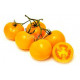 TOMATE CHERRY