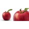 MANZANA MAS DE ROC