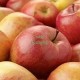 MANZANA MAS DE ROC