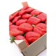FRESON 2 KILOS