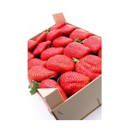 FRESON 2 KILOS