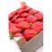 FRESON 2 KILOS