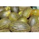 MELON NACIONAL