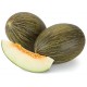 MELON NACIONAL