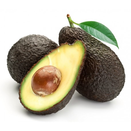 AGUACATE