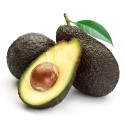 AGUACATE CALLOSA