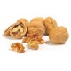 NUECES