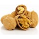NUECES