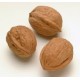 NUECES