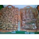 NUECES