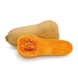 CALABAZA VIOLIN