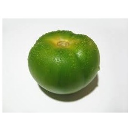 TOMATE VEGA CAÑADA