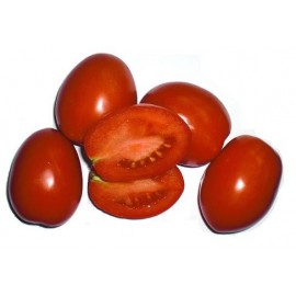 TOMATE PERA kilo