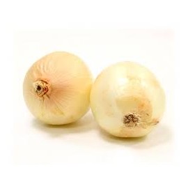 CEBOLLA DULCE