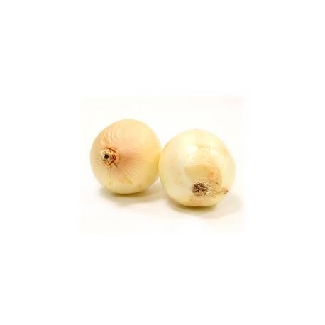 CEBOLLA DULCE