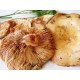 ROVELLON DE PINO 500 GRAMOS