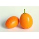 KUMQUAT LIMON