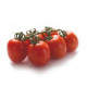 TOMATE PERA