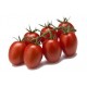 TOMATE CHERRY RAMA