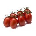 TOMATE CHERRY 0,500 Gr LOBELLO