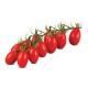 TOMATE CHERRY RAMA