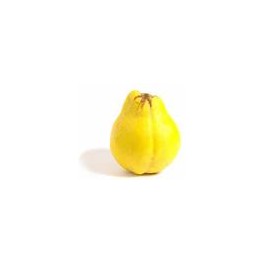 MEMBRILLO