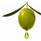 ACEITE OVE 250
