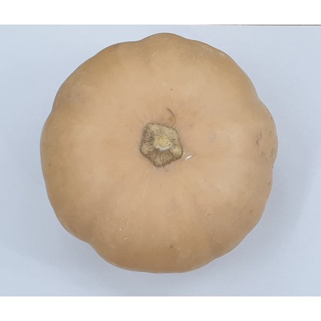 CALABAZA ASAR