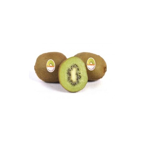 KIWI IBERICO