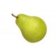 PERA FORELLE