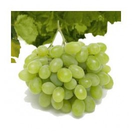 UVA MOSCATEL