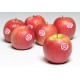 MANZANA PINK LADY