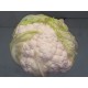 COLIFLOR UNIDAD