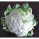 COLIFLOR UNIDAD